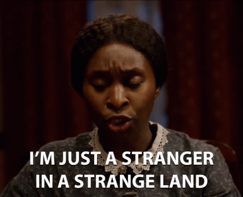 a woman says i 'm just a stranger in a strange land on a screen
